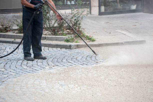 Best Pre-Holiday Cleaning  in Hartford, AL